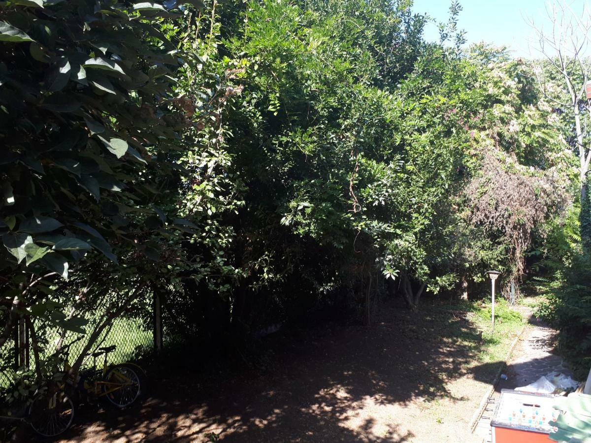 La Casa Di Mango E Pistacchio 호텔 세그라테 외부 사진